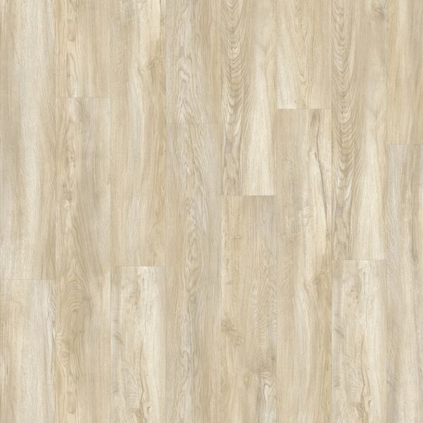 Texas Oak 82231