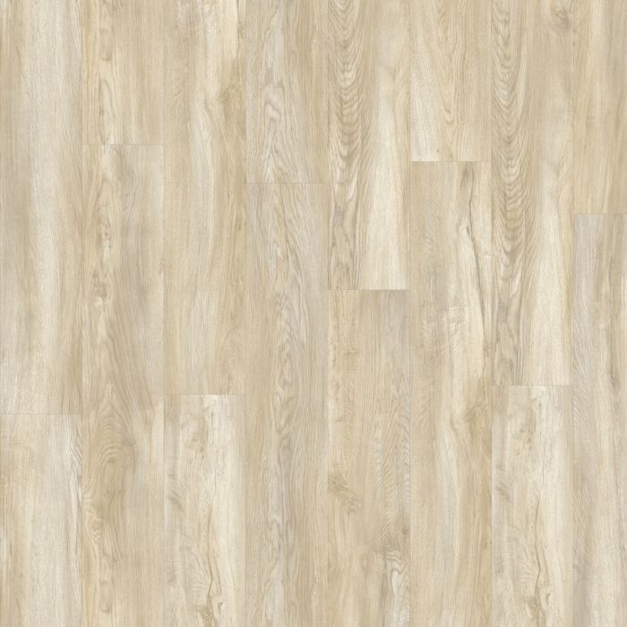 Texas Oak 82231