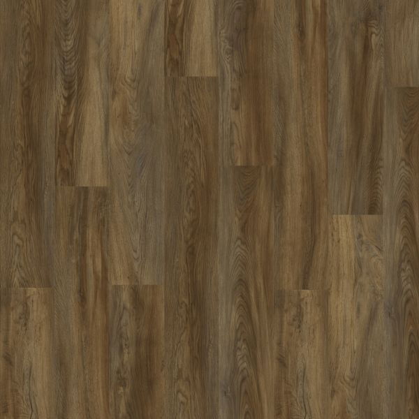 Texas Oak 82871