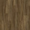 Texas Oak 82871