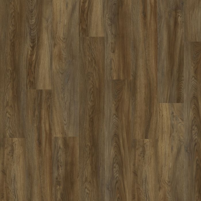 Texas Oak 82871