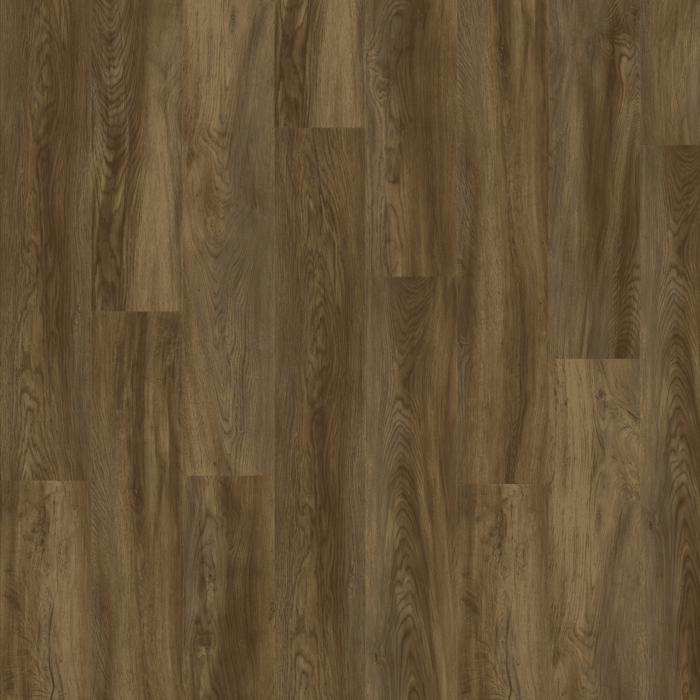 Texas Oak 82871