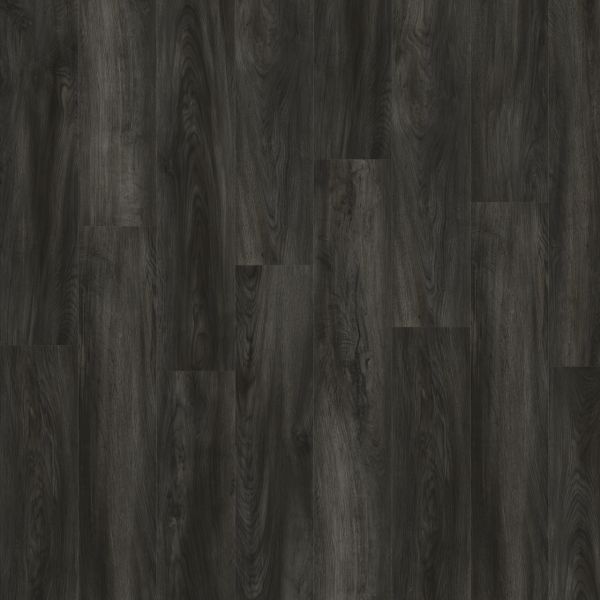 Texas Oak 82991