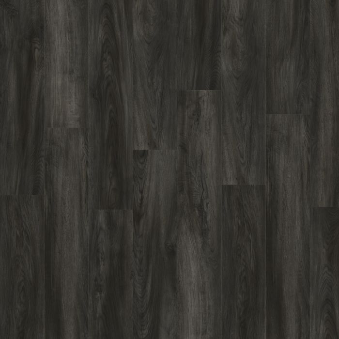 Texas Oak 82991