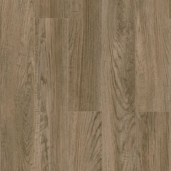 257067000 Oak Modern Brown