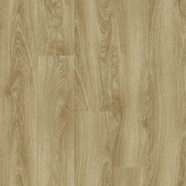 257067002 Oak Origin Nature