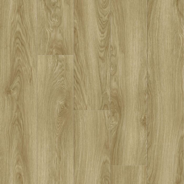 257067002 Oak Origin Nature