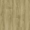 257067002 Oak Origin Nature