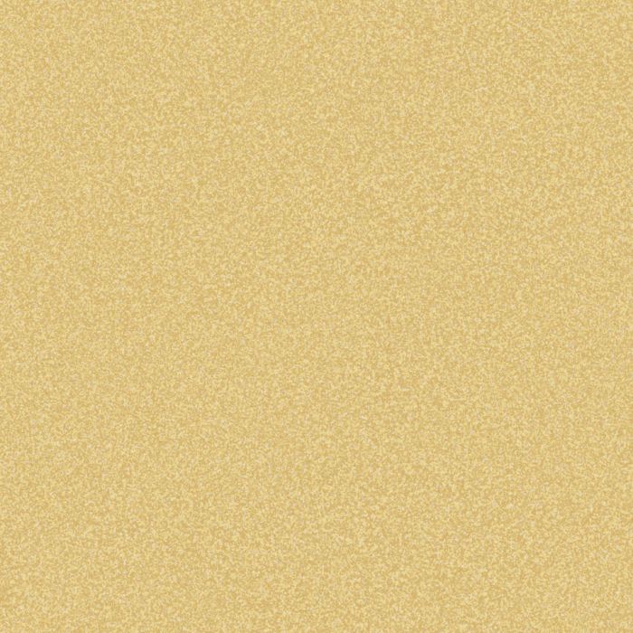 STELLA - ST 2